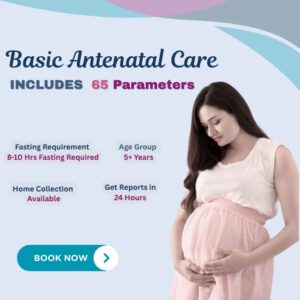 Basic Antenatal Care