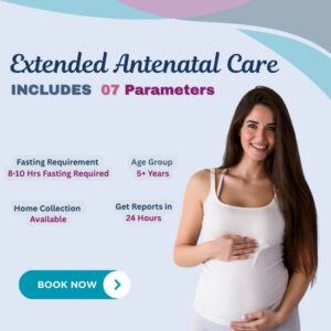 Extended Antenatal Care